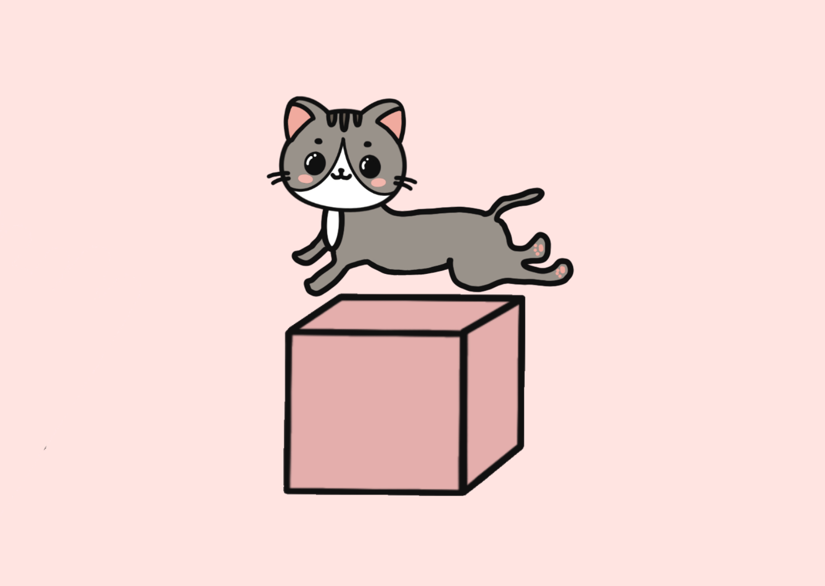 Cat above