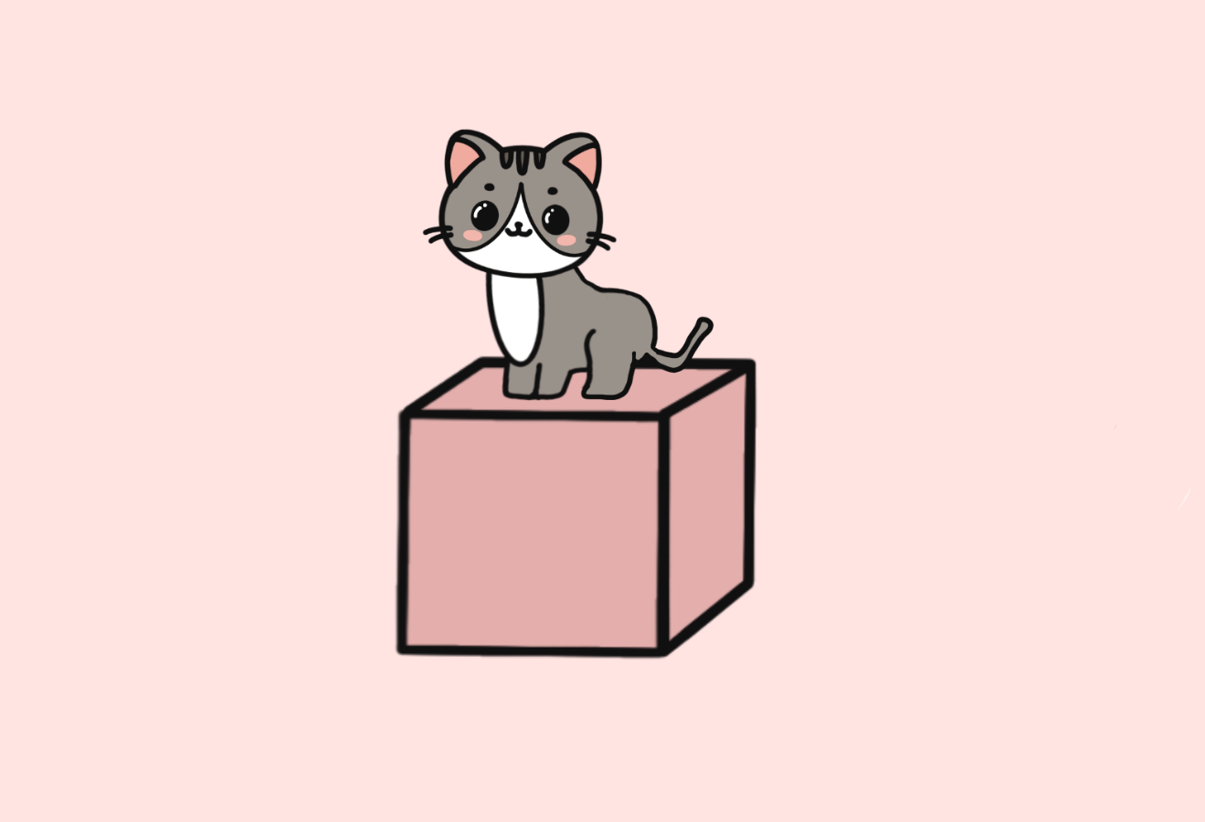 Cat on top
